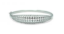 Platinum Bangle
