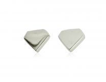 Silver Earring